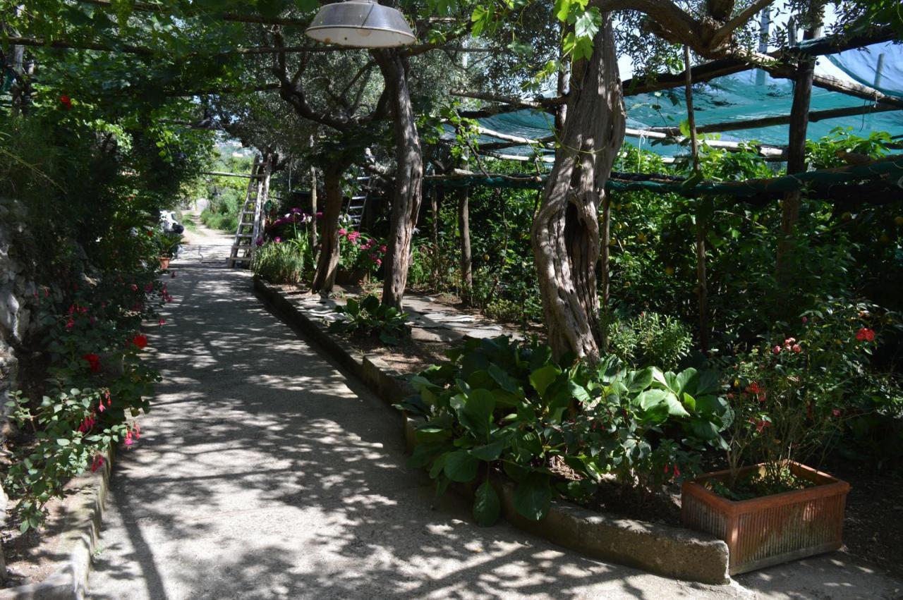 La Petra Villa Vico Equense Exterior photo