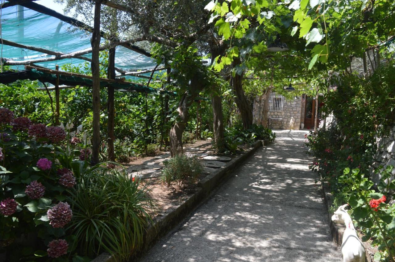 La Petra Villa Vico Equense Exterior photo