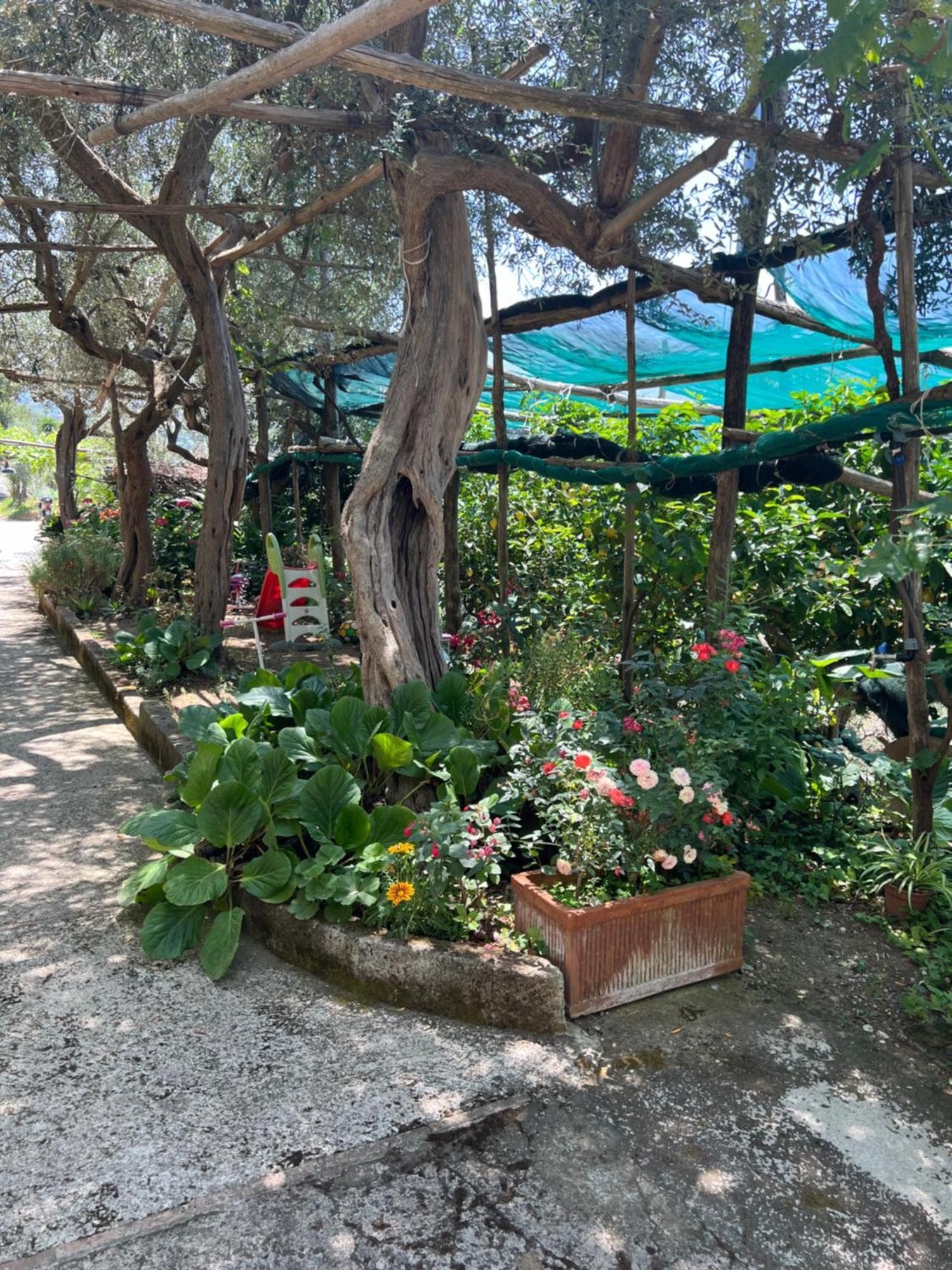 La Petra Villa Vico Equense Exterior photo