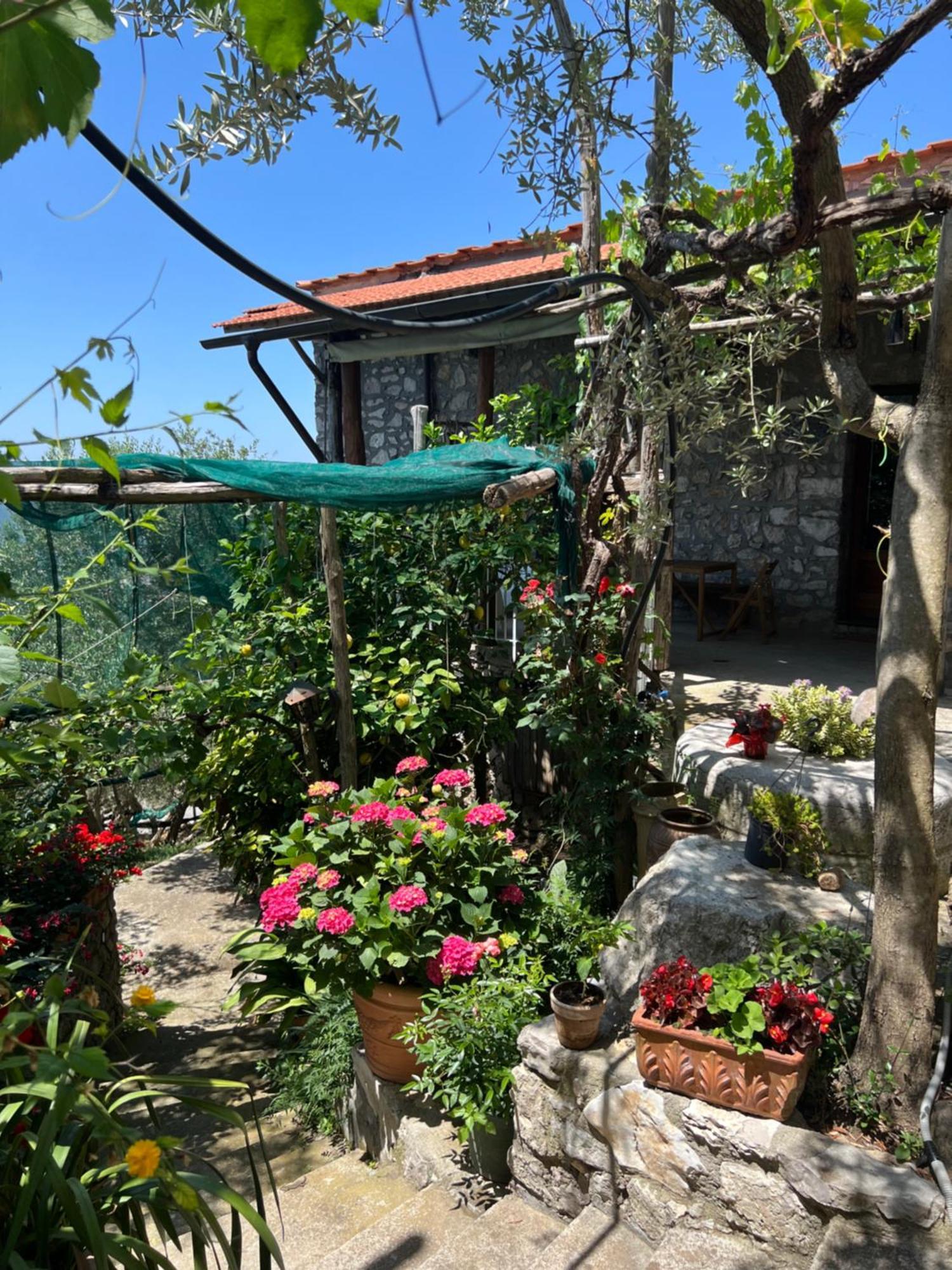 La Petra Villa Vico Equense Exterior photo